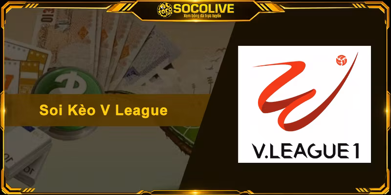Soi Kèo V League – Bí Quyết Nhận Định Bóng Đá Việt Nam Chuẩn